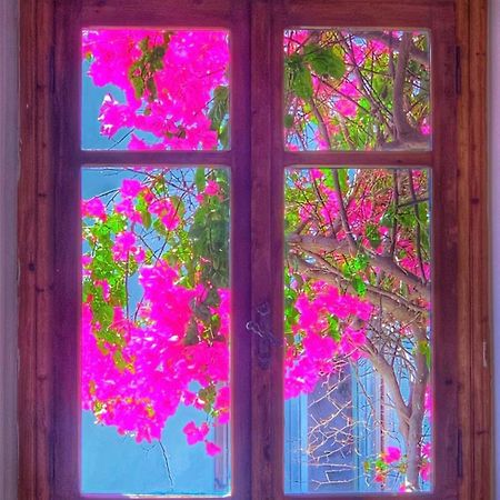 Mare Naxia Hotel Naxos City Luaran gambar