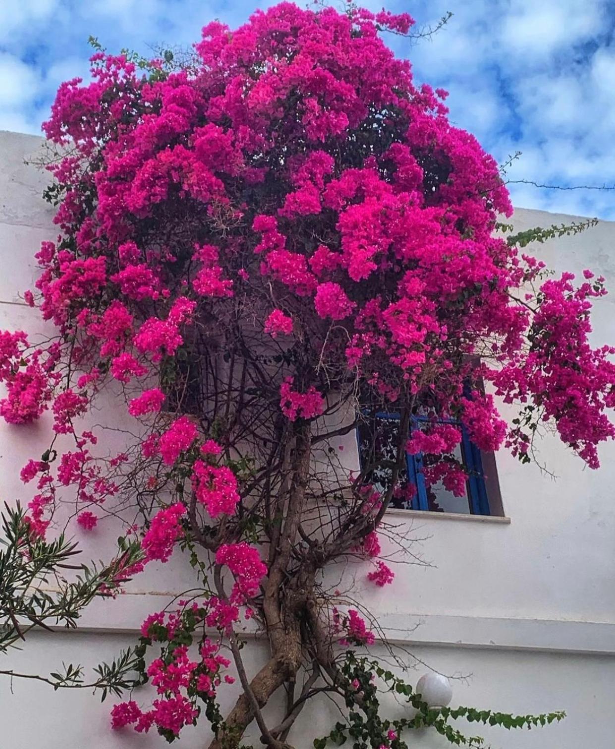 Mare Naxia Hotel Naxos City Luaran gambar